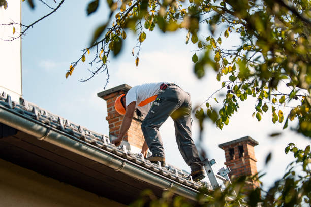 Steel Roofing in Lodi, WI